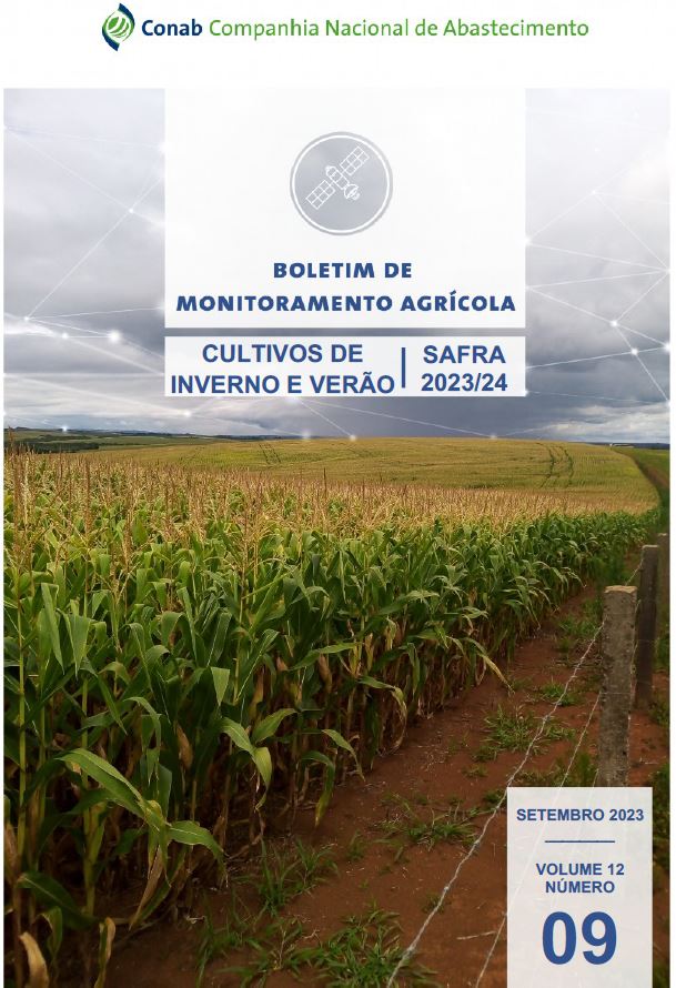 MONITORAMENTO AGRÍCOLA: Boletim destaca o impacto dos altos volumes de chuva nas lavouras do Rio Grande do Sul