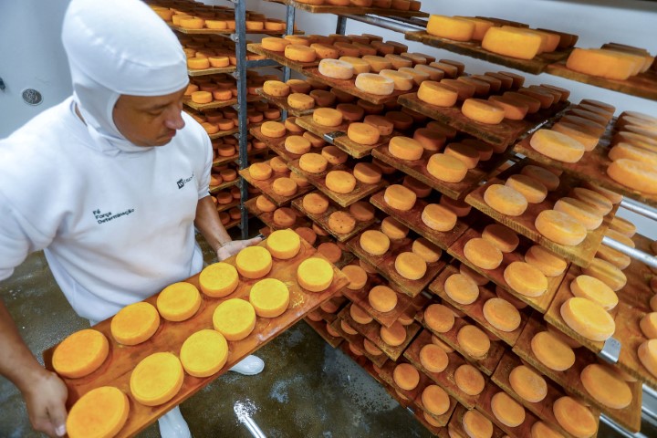 IG: Com 12 exemplos, Paraná é referência nacional em produtos com indicação geográfica