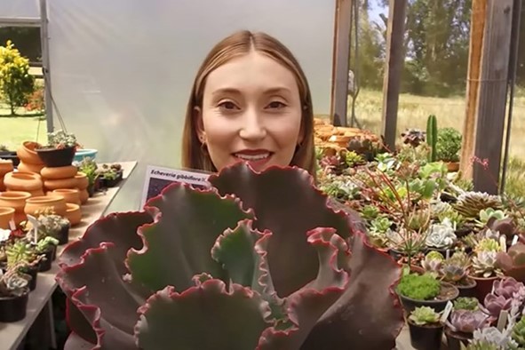 MULHERES NO AGRO: Prêmio Orgulho da Terra valoriza presença feminina no campo