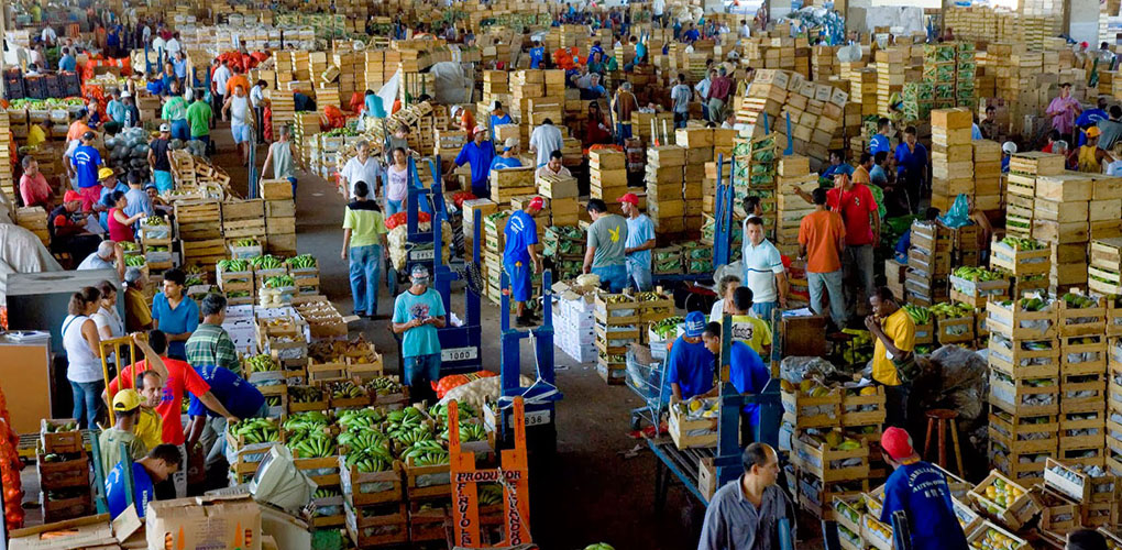 IPEA: Instituto revisa de 13,2% para 15,5% o valor adicionado do setor agropecuário em 2023