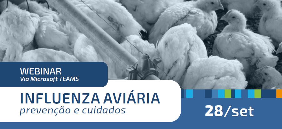 INFLUENZA AVIÁRIA: Webinar nesta quinta-feira vai debater prevenção e cuidados e apresentar experiências internacionais
