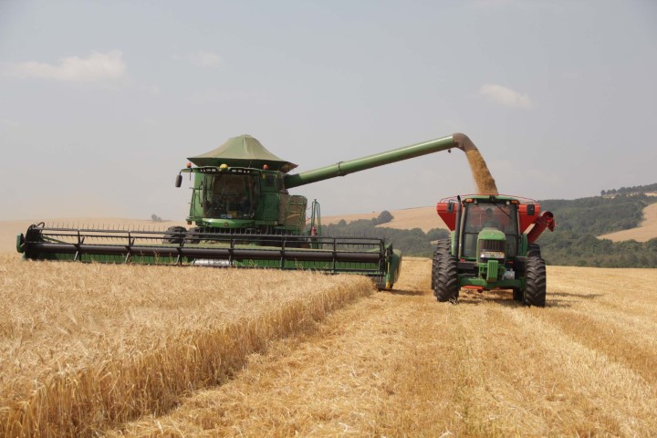 AGRO: Cevada chega a 80% de área colhida nas unidades da Capal