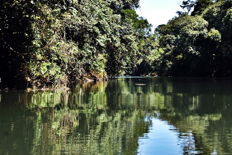 DESENVOLVIMENTO SUSTENTÁVEL: Comitê da Bacia Hidrográfica dos Afluentes do Baixo Iguaçu se reúne na terça-feira