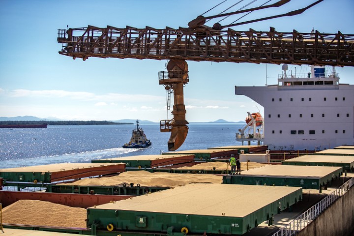 EXPORTAÇÃO: Portos do Paraná prevê aumento de 203% na movimentação de soja no último trimestre