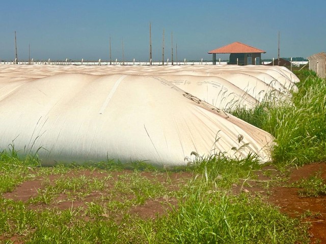 ABRAPOS: Estudo compara a qualidade dos grãos armazenados em silos bolsas e metálicos