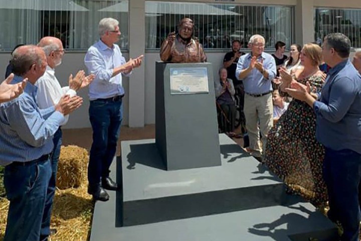 HOMENAGEM: Dia do Plantio Direto celebra técnica revolucionária para a agricultura sustentável