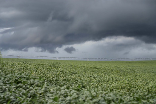 AGRICULTURA: Estado e municípios levantam os efeitos da chuva nas lavouras e estradas rurais