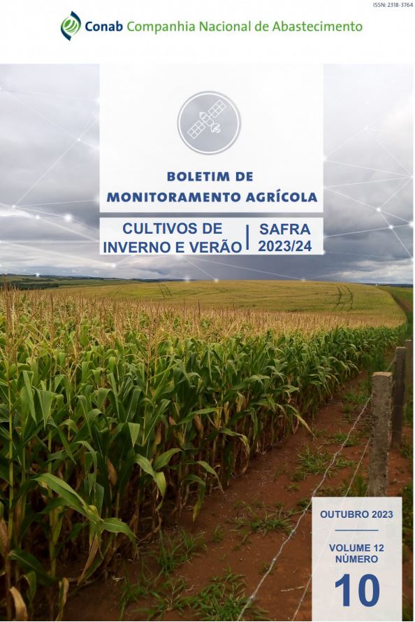 CONAB: Boletim de Monitoramento Agrícola destaca o impacto nas lavouras dos altos volumes de chuva no Sul do país
