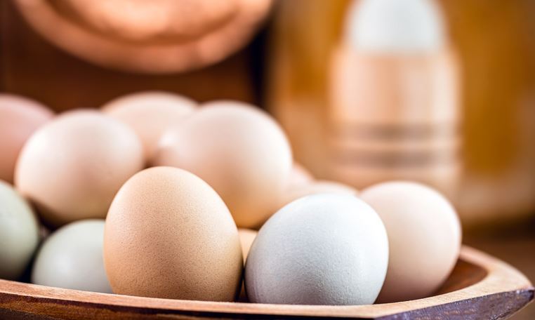 NOTA CONJUNTA: Reabertura do mercado japonês a produtos avícolas do Mato Grosso do Sul
