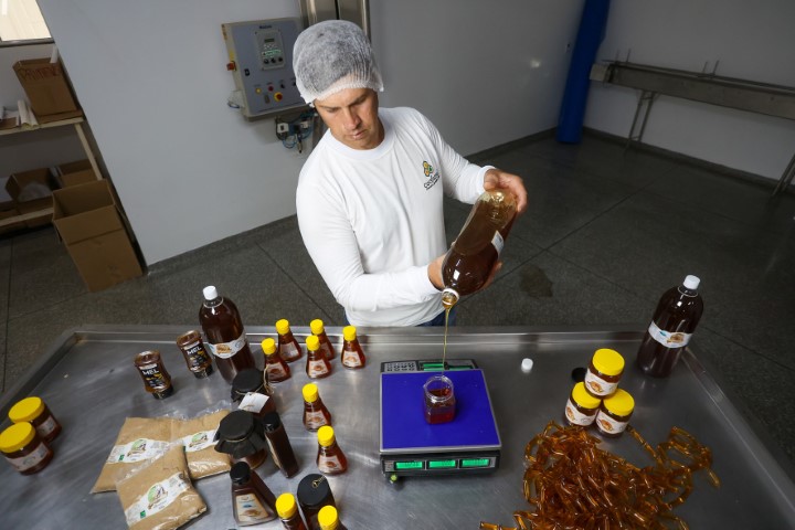 AGRO: Sabor único, alta produtividade e indicação geográfica diferenciam o mel do Oeste
