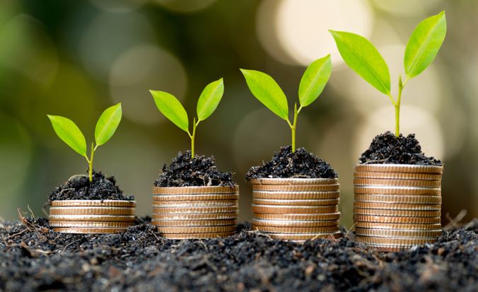 CRÉDITO RURAL: Aplicação chega a R$ 186 bilhões em quatro meses do atual Plano Safra