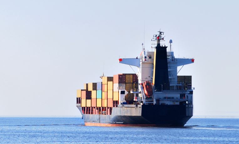 EXPORTAÇÃO: Brasil conquista 57 novos mercados para a exportação de produtos agropecuários nos últimos 10 meses