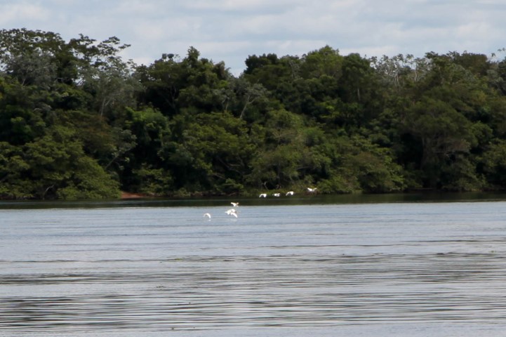 DESENVOLVIMENTO SUSTENTÁVEL: Na última reunião do ano, CBH do Paraná 3 elabora plano de atuação para 2024