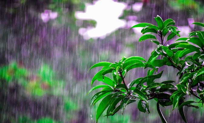 INMET: Como será o clima no Brasil em dezembro?
