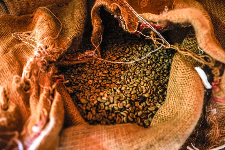 CAFEICULTURA: Cafés especiais do Norte Pioneiro renovam tradição paranaense com a bebida