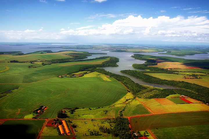 SUSTENTABILIDADE: No Dia do Solo, IDR-Paraná emite Nota Técnica sobre importância da conservação