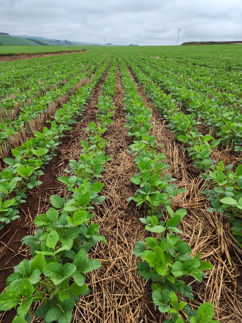 AGRO: Capal sai na frente na emissão de CRA Verde entre as cooperativas do Brasil e capta R$ 150 milhões
