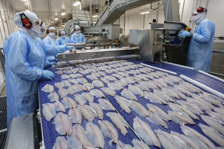 COMÉRCIO EXTERIOR: Abertura do mercado do Egito para pescados e derivados brasileiros