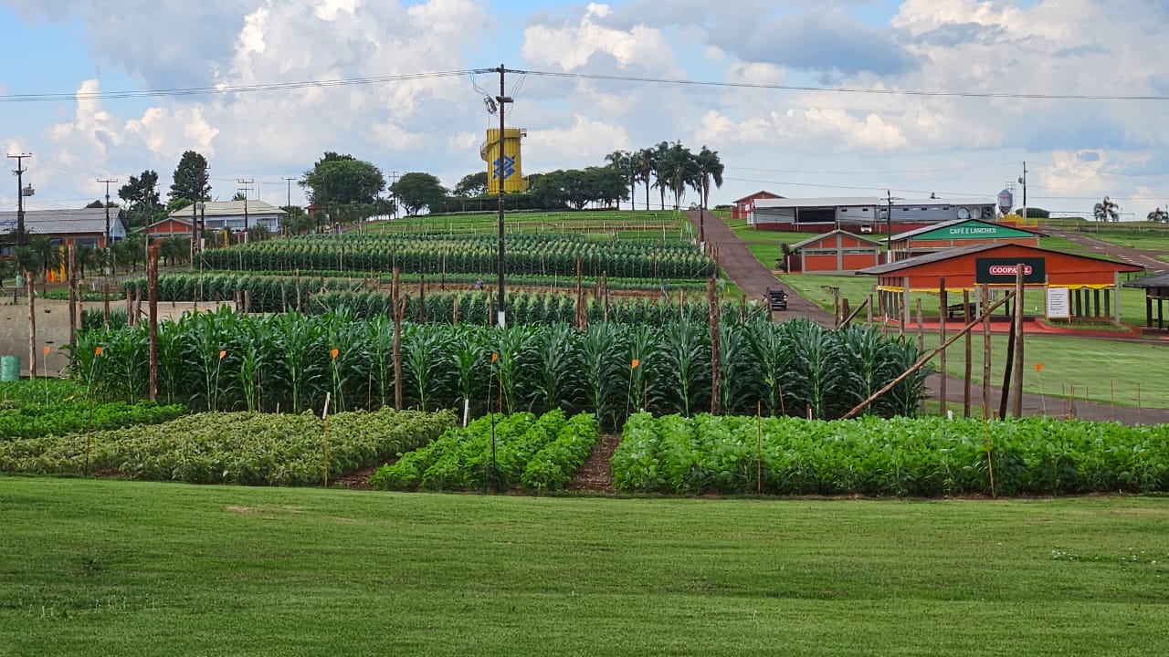 AGRO: Coopavel abre a contratação de 615 pessoas para a 36ª edição do Show Rural