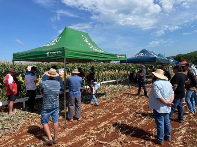 AGRO: Copagril realiza Dia de Campo Milho Silagem em Entre Rios do Oeste