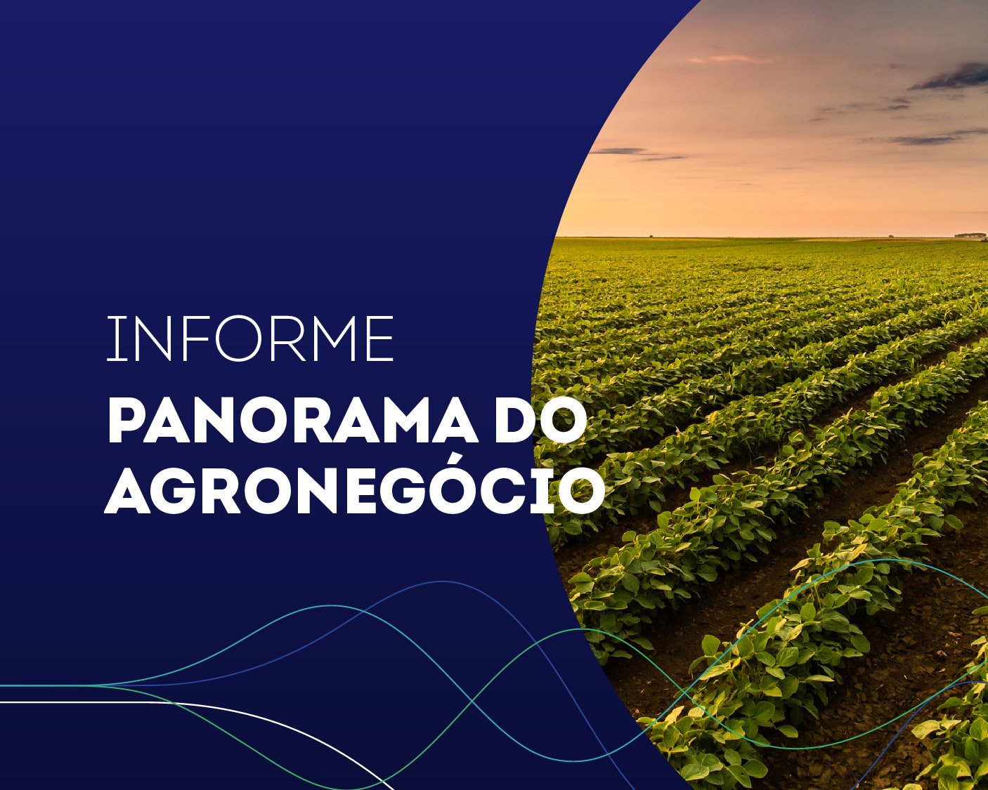 IP - n° 07 - Panorama de Mercado - julho.2024
