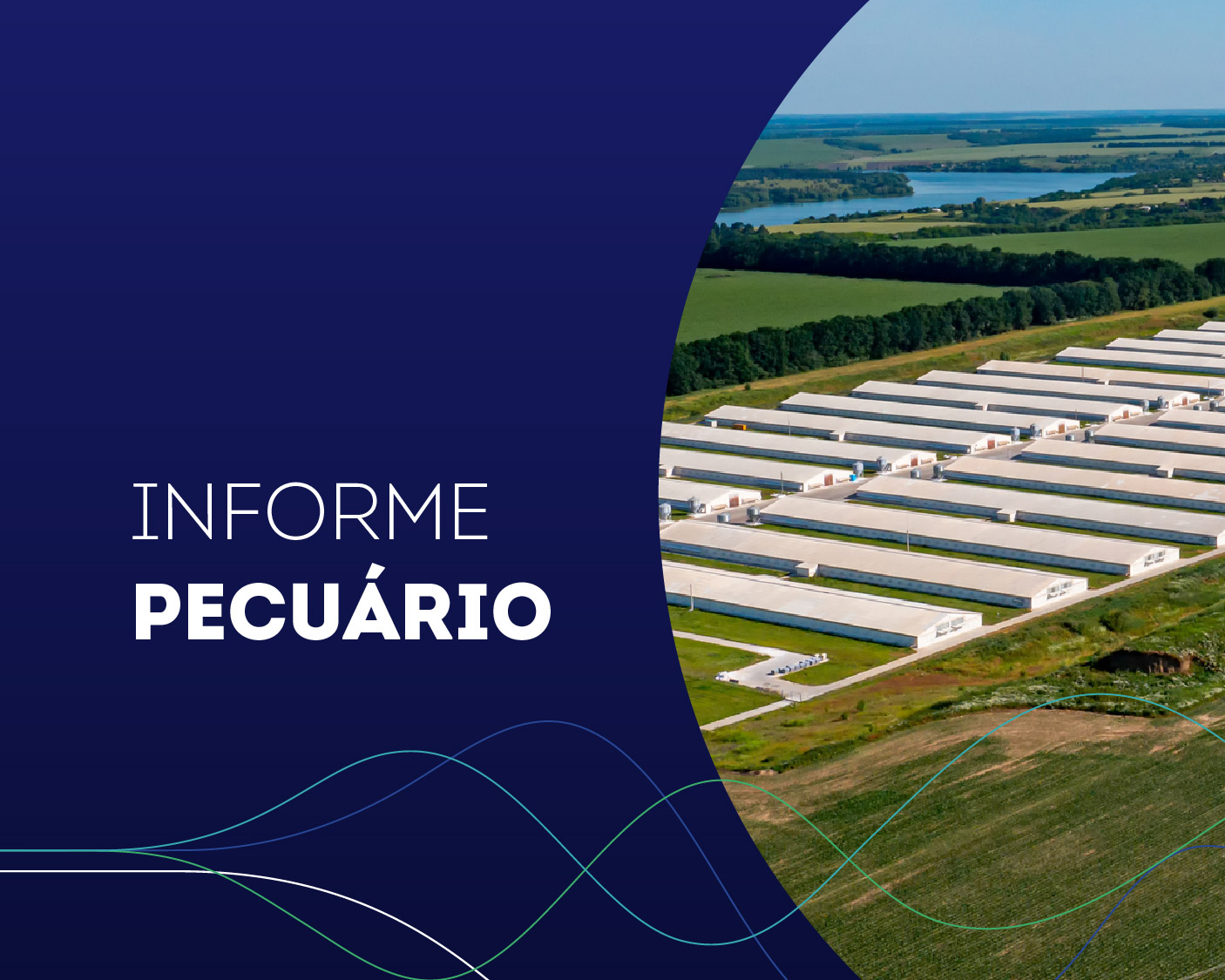 IP - nº 05 - Indicadores da Pecuária - outubro.2023