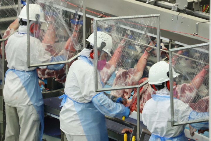 ABPA: Volume e receita de exportações de carne suína crescem acima de 9% em 2023