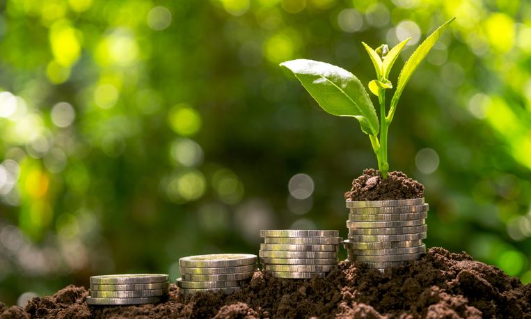 CRÉDITO RURAL: Valor aplicado chega a quase R$ 250 bilhões em seis meses do atual Plano Safra