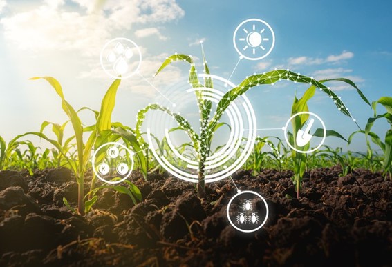 INOVAÇÃO: Mapa e Serpro celebram acordo de cooperação para a criação da Plataforma Digital de Inovação Agropecuária