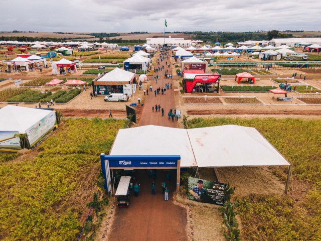 AGRO: Pesquisadores participam de dia de campo da C.Vale