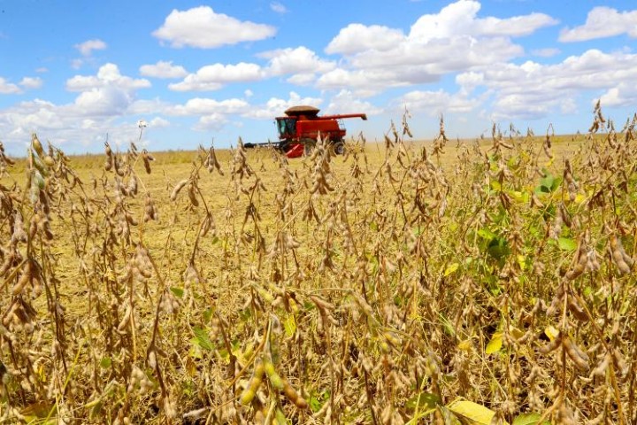SAFRA 2023/2024: Deral confirma queda de 15% na produção agrícola paranaense
