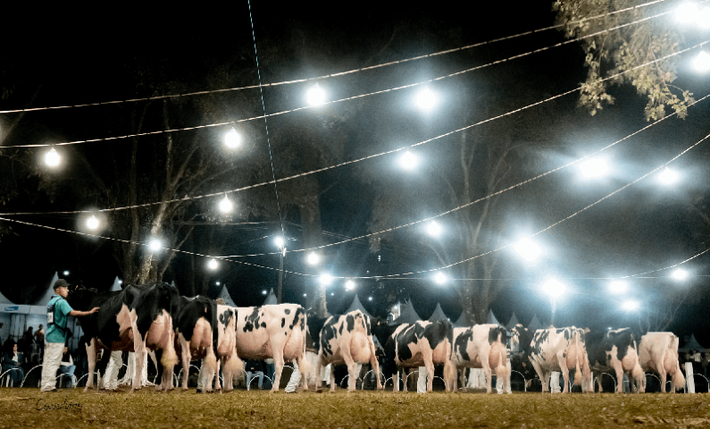 AGRO:  Expoleite Arapoti realiza sua 50ª edição em nova data