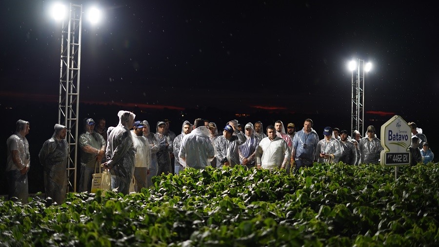 AGRO: Sementes Batavo, da Frísia, apresenta as principais cultivares das maiores obtentoras de soja do Brasil