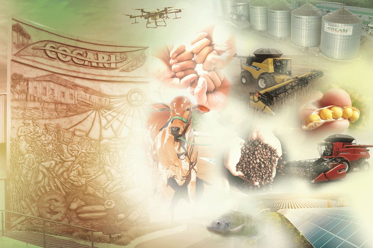 AGRO: Expansão e inovação impulsionam resultados da Cocari em 2023