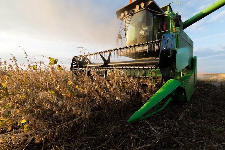 CRÉDITO RURAL: Valor do plano safra 2023/24 contratado até janeiro supera os R$ 272 bilhões