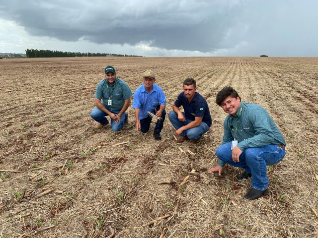 AGRO: Pai e filhos prosperando juntos em Sertanópolis