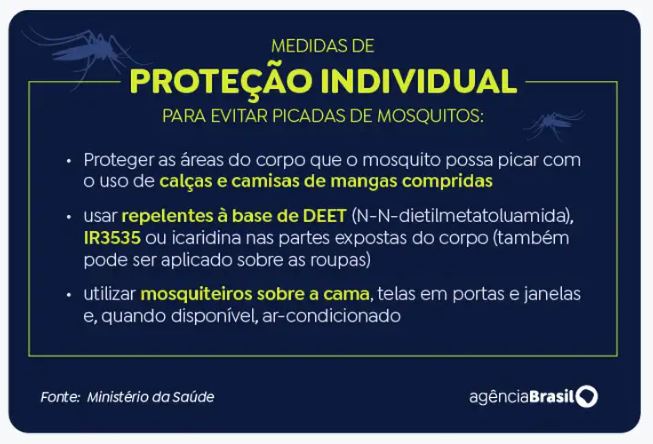 dengue quadro 20 02 2024