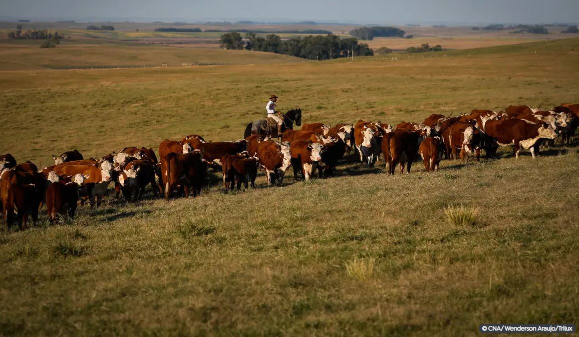 FGV: Prévia aponta crescimento da economia de 3% em 2023