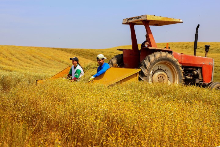 IPARDES: Paraná teve o maior crescimento da atividade econômica do Brasil em 2023