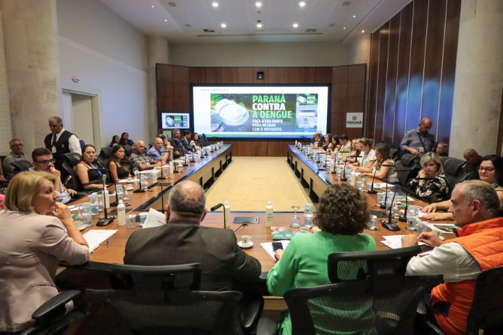 DENGUE: Comitê do Paraná convoca população para participar do Dia D neste sábado