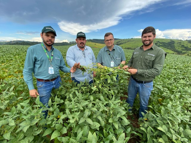  AGRO:  Para fugir do frio, braquiária é semeada sobre a soja 