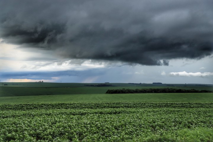 IDR-PARANÁ: Fevereiro é marcado por chuvas estáveis e temperaturas altas, indica boletim 