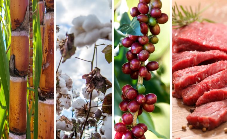 BALANÇA COMERCIAL: Exportações do agronegócio batem novo recorde para os meses de fevereiro e atingem US$ 11,63 bilhões