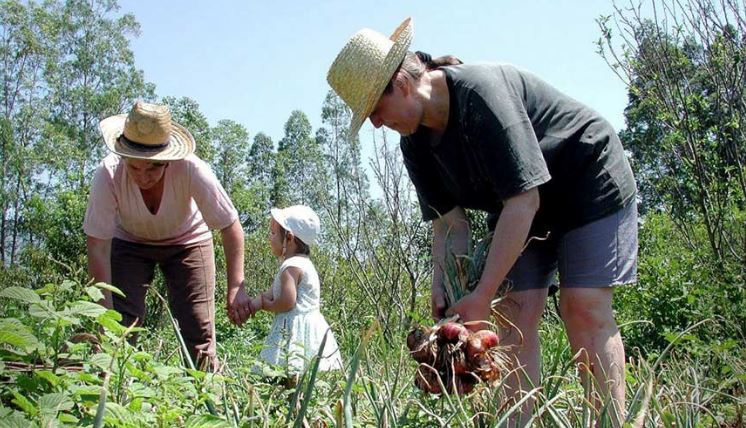 LEGISLAÇÃO: Presidente da República sanciona lei que amplia Política Nacional da Agricultura Familiar