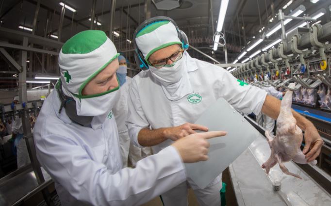 COOPERATIVAS: Equipe do Mapa visita estabelecimentos exportadores no Paraná