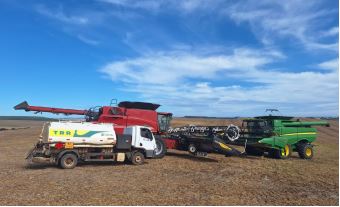 AGRO: Colheita da soja chega a 85% de área colhida nas unidades da Capal 