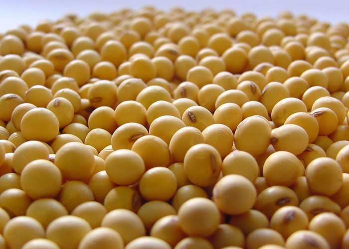 MERCADO AGROPECUÁRIO: Getec divulga balanço da comercialização de grãos, carnes e leite