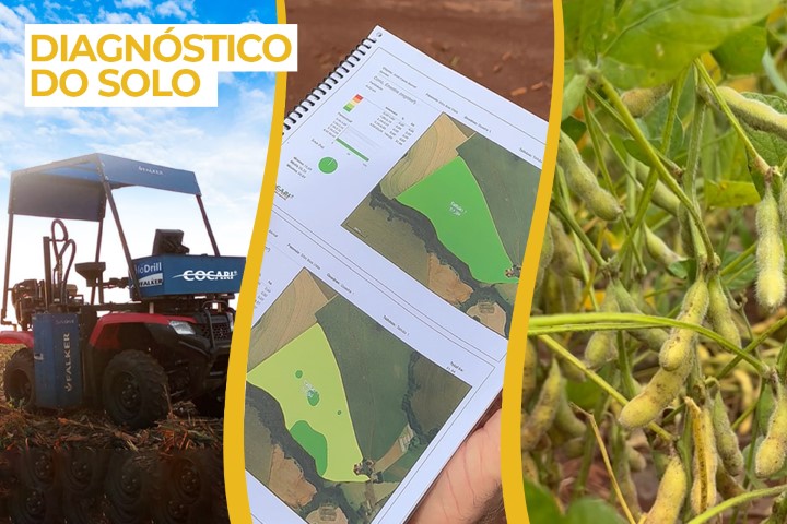 AGRO: Cooperado da Cocari garante: Diagnóstico Inicial de Solo aumenta produtividade da lavoura
