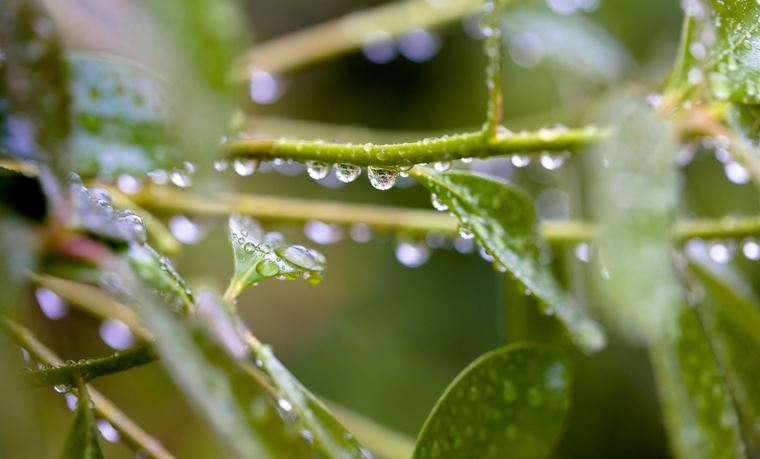 INMET: Como será o clima no Brasil em abril?