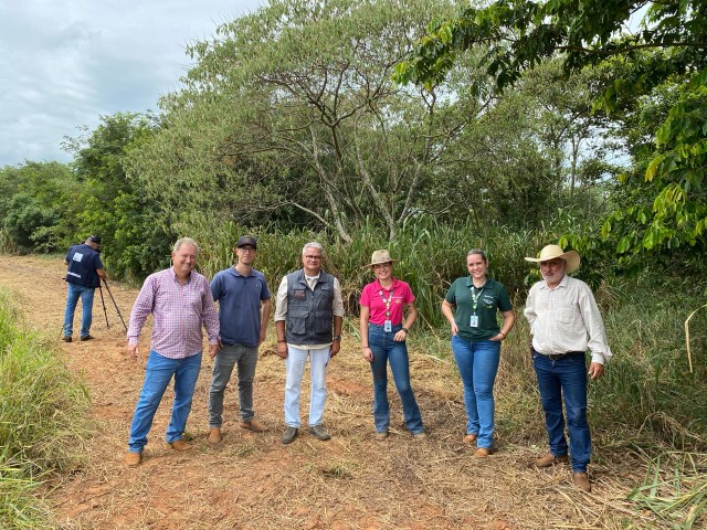 AGRO: Na Fazenda Primavera, uma floresta produzida por mãos especiais 